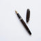 Fountain Pens