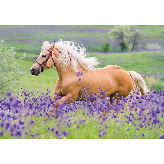 Ravensburger Horse Love 2x24 Piece Puzzle Set